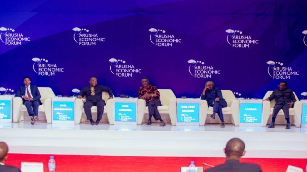 Kafulila Highlights Investment Opportunities through PPP at the Arusha Economic Forum.